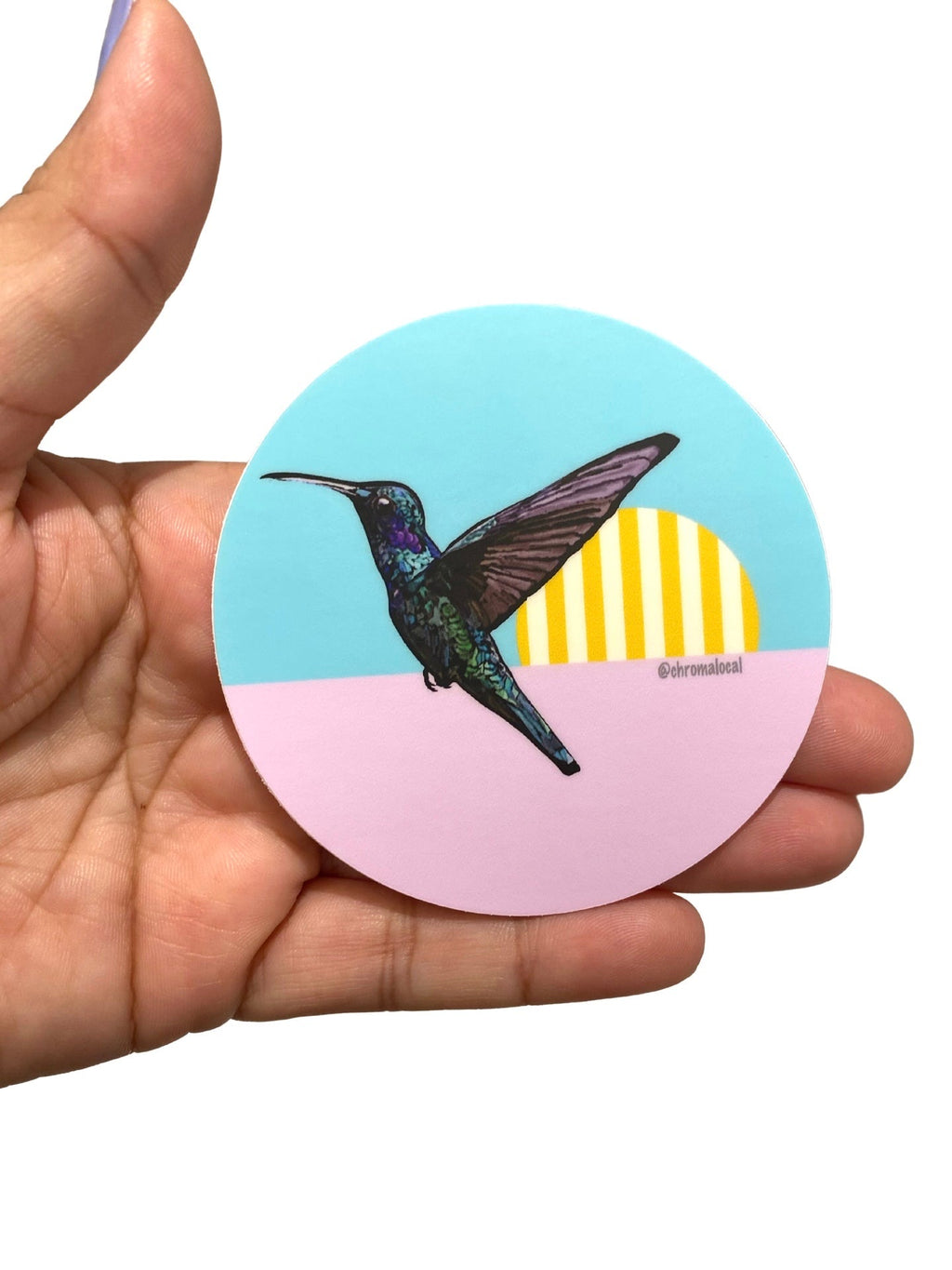 Sticker - Colibrí